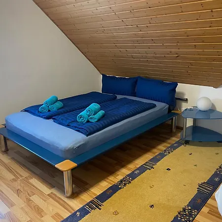 Ferienwohnung Heilsbronn شقة *